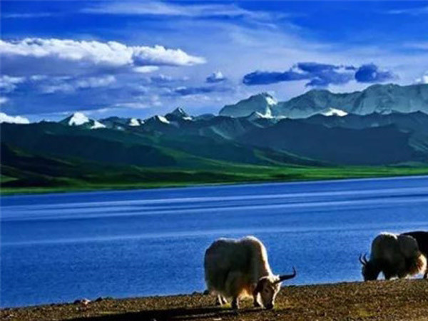 中集凌宇團委愛心送捐活動圓滿結束